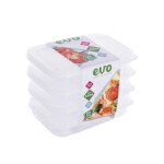 Clear Lid & Clear Base