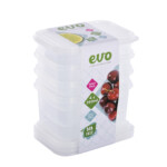 Clear Lid & Clear Base