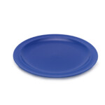 Primary Blue